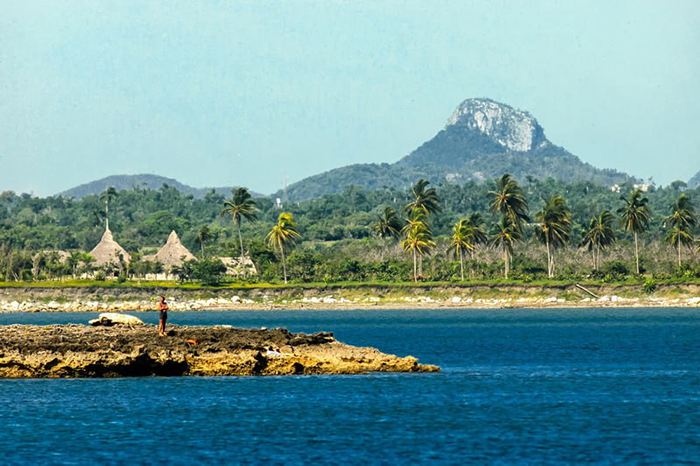 0 28 tarea vida holguin