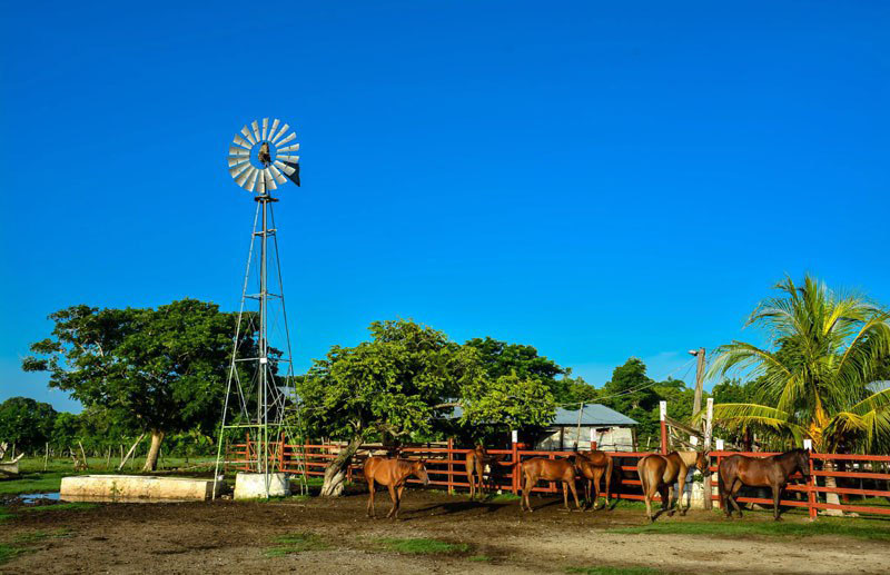 1119 finca agricola2