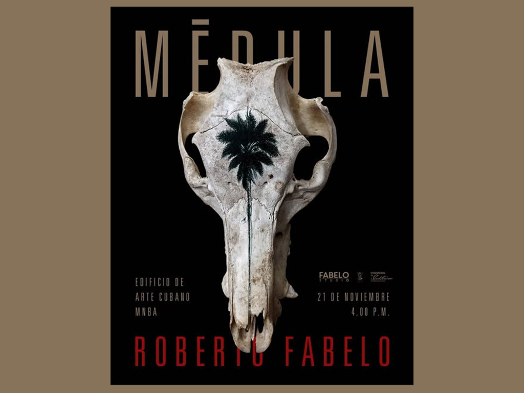 Medula Expo de Fabelo 1
