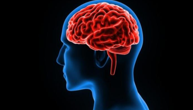 cerebro