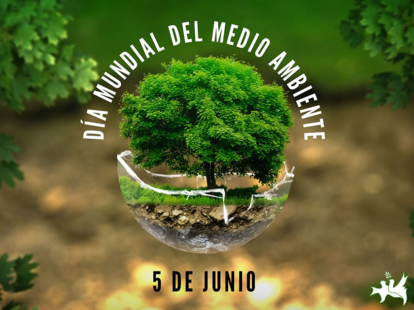 Día Mundial del Medio Ambiente