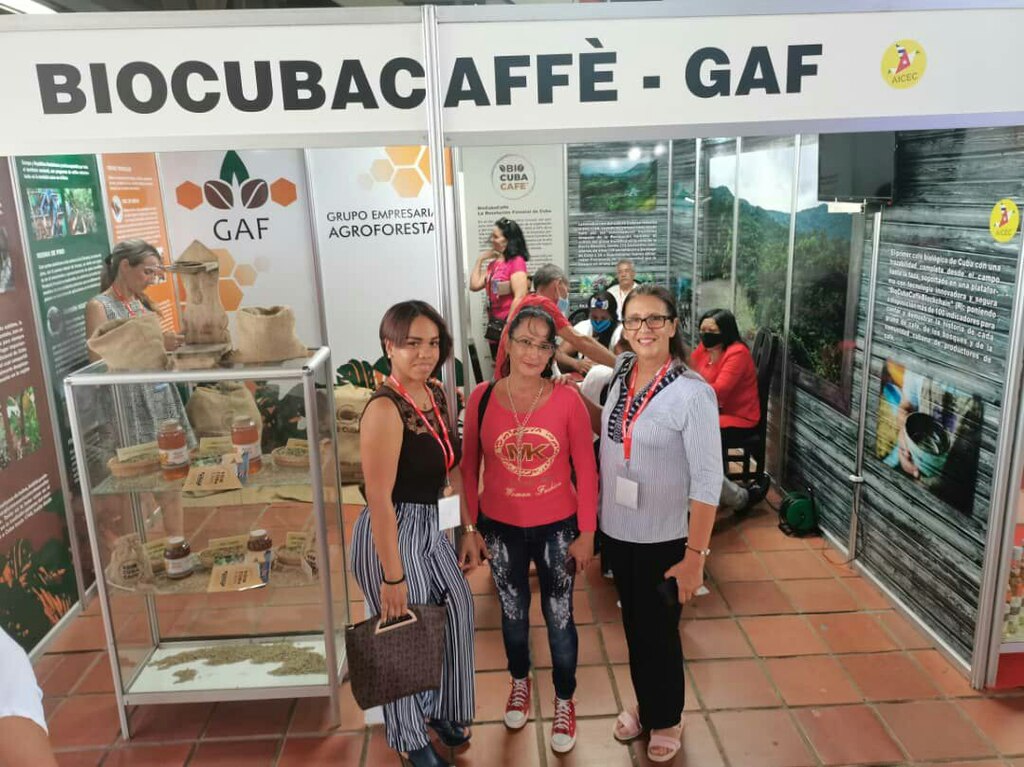 Proyecto BioCubaCafé recibe certificación internacional 