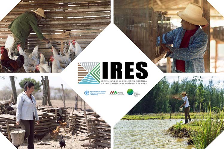 Desarrollan en Cuba proyecto de resiliencia al cambio climático Desarrollan en Cuba proyecto de resiliencia al cambio climático