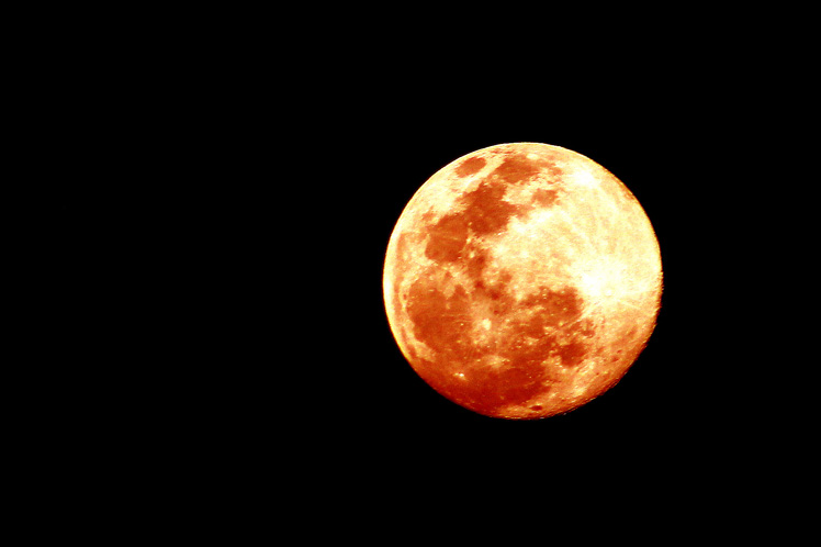 Luna de Gusano Luna de Gusano