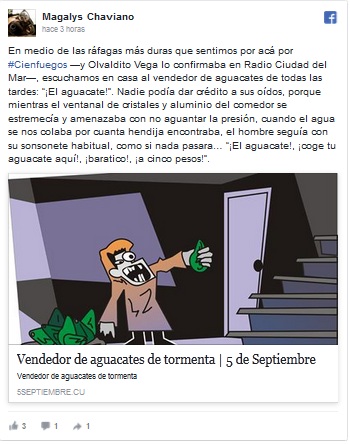 Vendedor de aguacates de tormenta