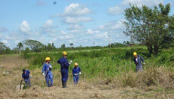 Torreros de Radiocuba Granma recuperan afectaciones en Camagüey Torreros de Radiocuba Granma recuperan afectaciones en Camagüey