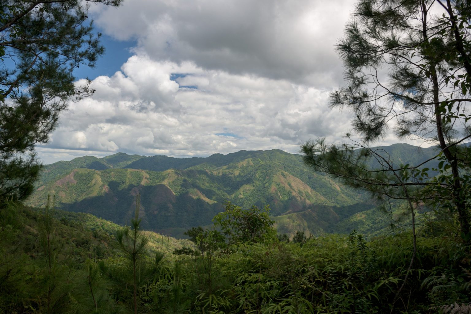 El archipiélago cubano forma parte de los 35 puntos calientes de la biodiversidad del planeta y eso es una gran responsabilidad para el país. Foto: Naturaleza Secreta.