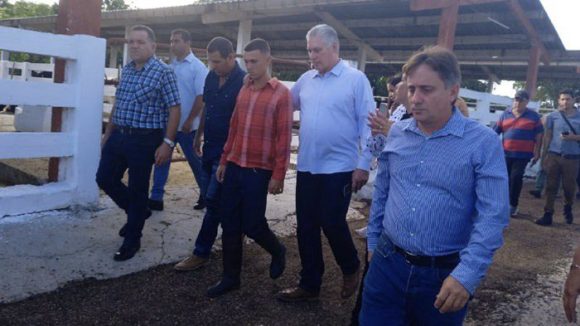 Miguel Díaz-Canel Bermúdez, primer secretario del Comité Central del Partido Comunista de Cuba y presidente de la República, permanece atento a programas económicos y sociales en Matanzas. Foto: ACN