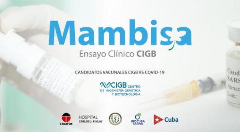 Mambisa, entre los cinco candidatos vacunales contra la COVID-19 en el mundo, por vía nasal Mambisa, entre los cinco candidatos vacunales contra la COVID-19 en el mundo, por vía nasal