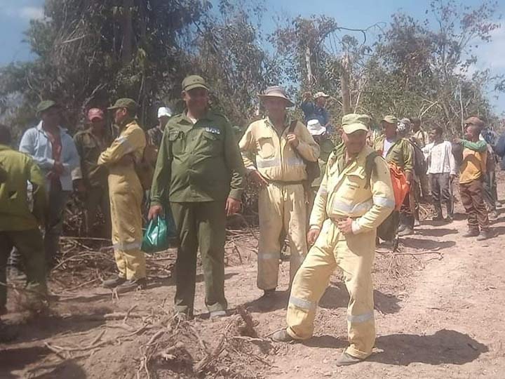 Fuerzas del Cuerpo de Guardabosques de Cuba (CGB), combatientes del Ministerio del Interior y trabajadores agrícolas batallan hoy por sofocar un incendio forestal de medianas proporciones en el municipio de Consolación del Sur.