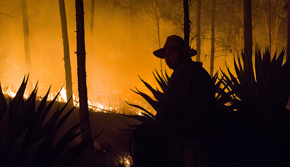Un incendio de grandes proporciones afecta este domingo a la zona montañosa de Pinares de Mayarí, Holguín, causando daños de consideración en plantaciones forestales. Foto: Emilio Rodríguez Pupo/Facebook.