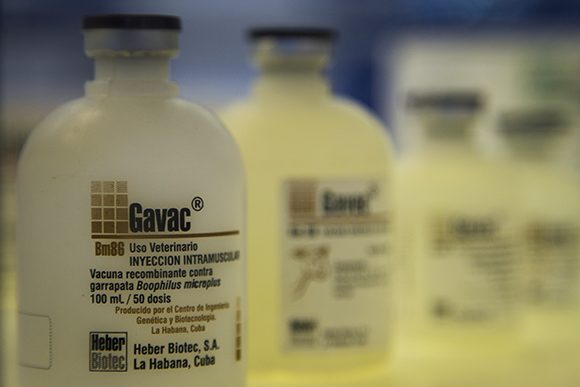 De los 300 medicamentos que integran el cuadro básico la industria farmacéutica cubana LABIOFAM cubre el 60% de la demanda del país. Foto: Irene Pérez/ Cubadebate. De los 300 medicamentos que integran el cuadro básico la industria farmacéutica cubana LABIOFAM cubre el 60% de la demanda del país. Foto: Irene Pérez/ Cubadebate.