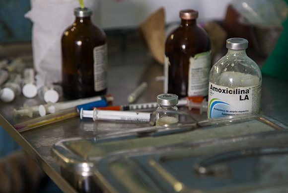 Como parte del perfeccionamiento del sistema de Sanidad Animal está contemplada de forma gradual la creación de las farmacias veterinarias. Foto: Irene Pérez/ Cubadebate. Como parte del perfeccionamiento del sistema de Sanidad Animal está contemplada de forma gradual la creación de las farmacias veterinarias. Foto: Irene Pérez/ Cubadebate.