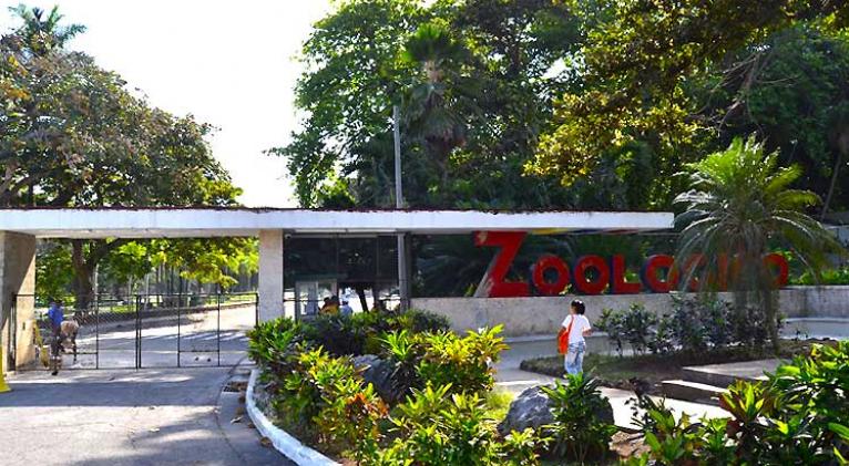 Jardín Zoológico de 26