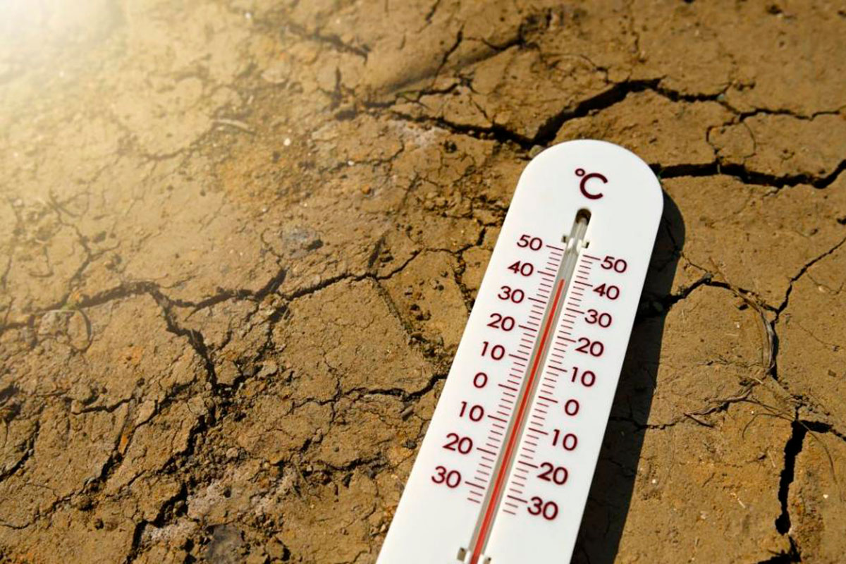 record_de_calor_en_la_tierra