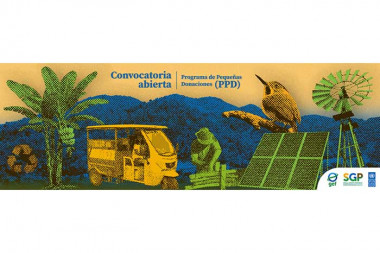 Abren convocatoria a proyectos de impacto ambiental