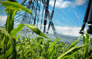 Aplican en Holguín medidas de protección agrícola