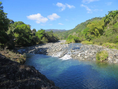 Singapur acoge exposición biodiversidad cubana
