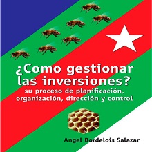 ¿Cómo gestionar las inversiones? Su proceso de planificación, organización, dirección y control